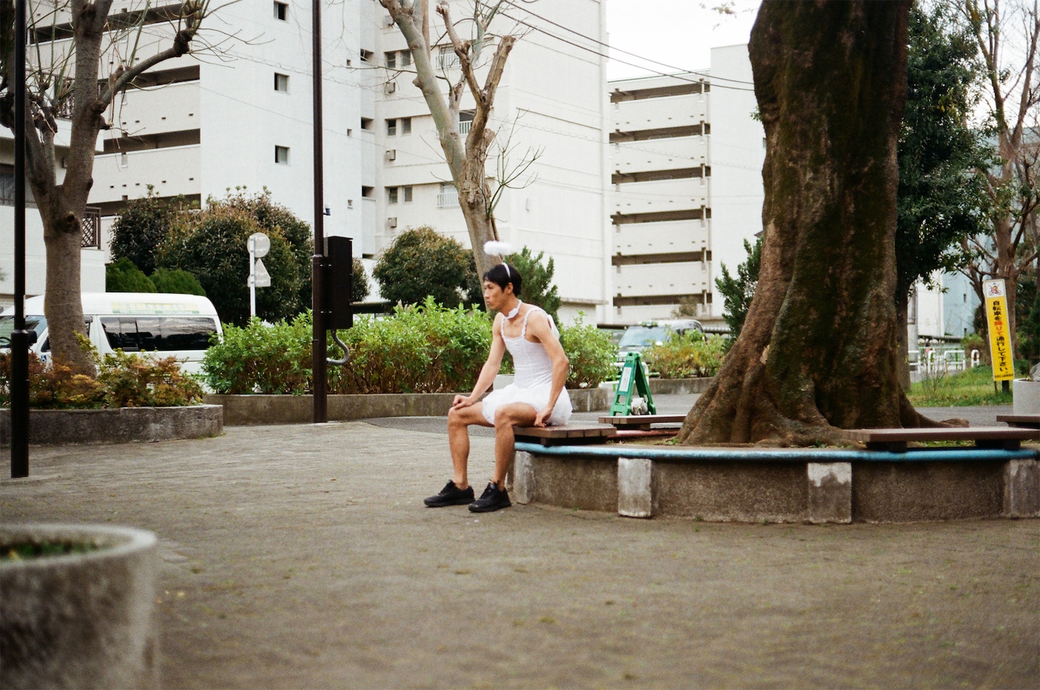 「新しい風」