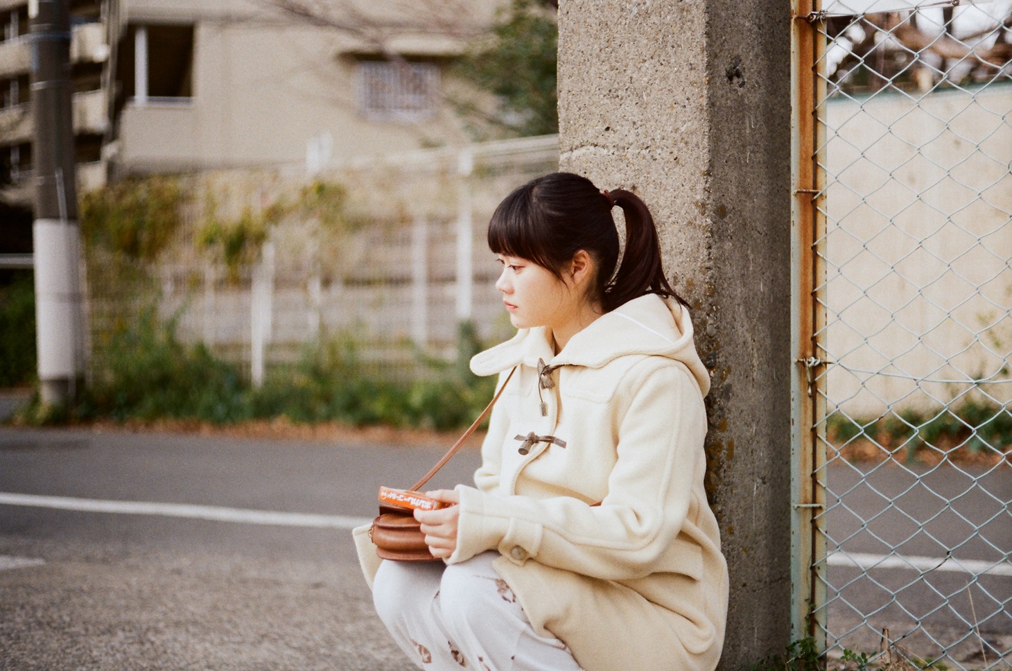 「新しい風」