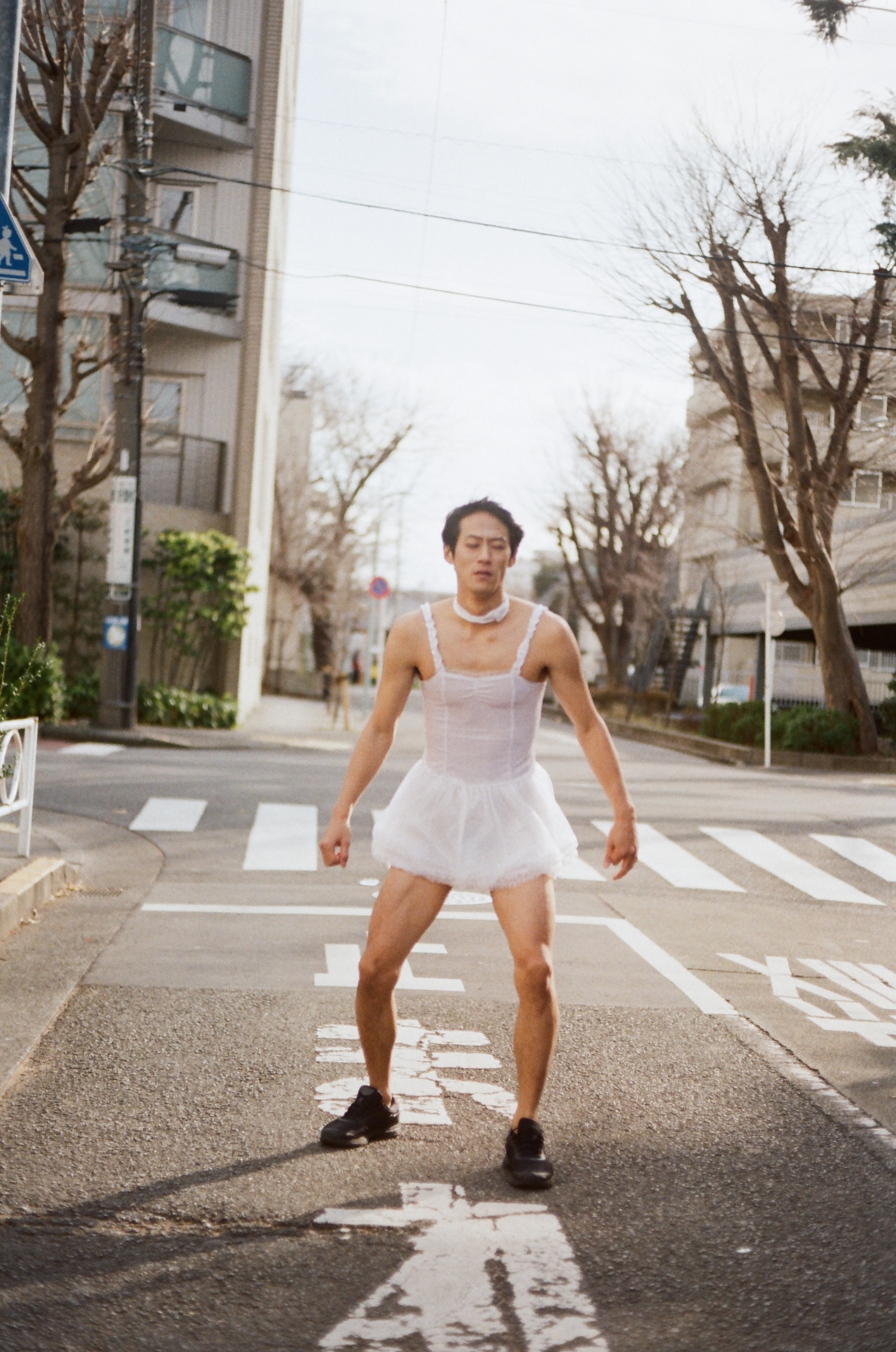 「新しい風」