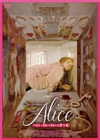 「アリス」DVDリバーシブルジャケットB