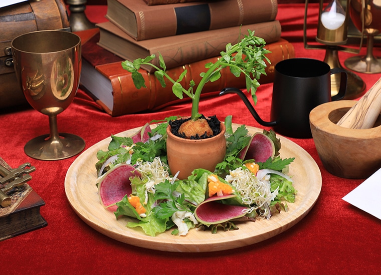 「薬草学サラダ」（税込1100円）