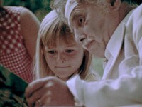 「アミューズメント・パーク（4Kレストア版）」