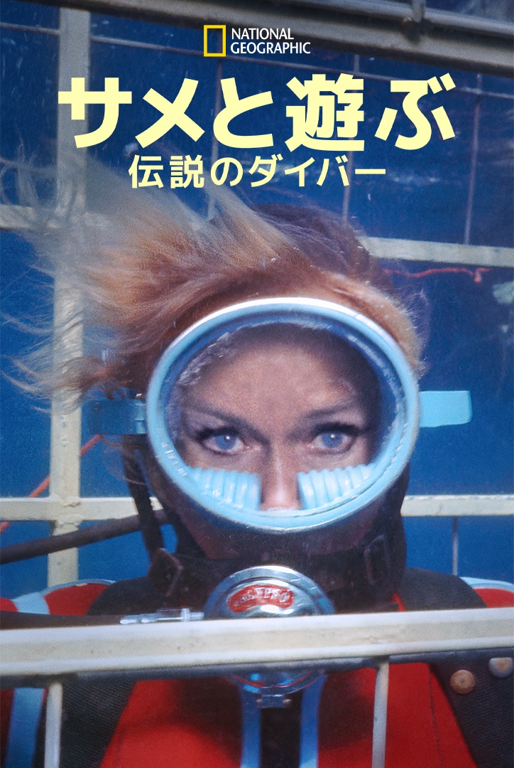「サメと遊ぶ伝説のダイバー」ビジュアル