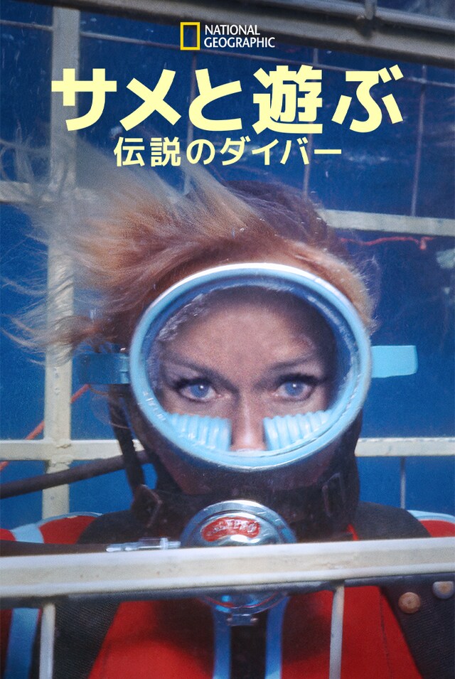 「サメと遊ぶ伝説のダイバー」ビジュアル