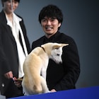 「犬部!」林遣都、バディ犬に金メダル贈呈し顔面舐められる