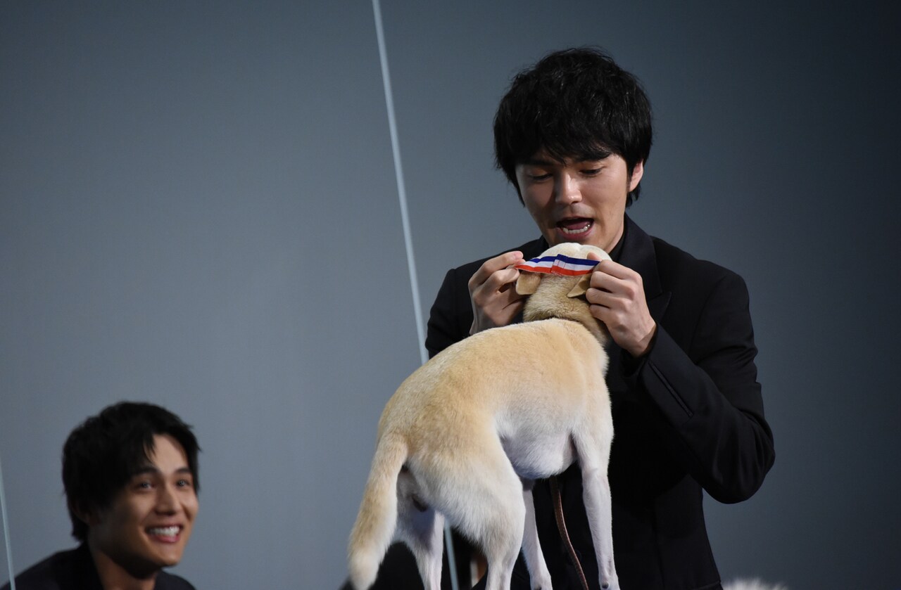 安達知江さん犬大