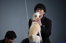 金メダルを贈呈してからちえに舐められる林遣都。