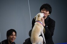 金メダルを贈呈してからちえに舐められる林遣都。