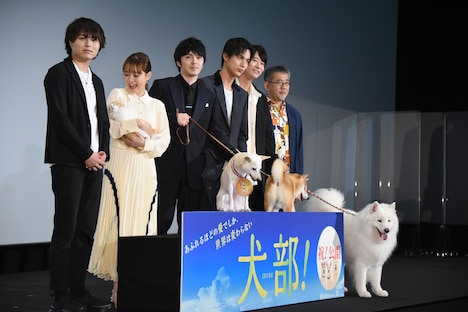 左から竹中雄大、大原櫻子、林遣都、中川大志、浅香航大、篠原哲雄。