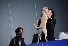 金メダルを贈呈してからちえに舐められる林遣都。