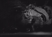 「ナイト・オブ・ザ・リビングデッド」