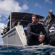 夏はシャーク・フェス!クリヘム出演作やサメの大宴会、イルカとの壮絶バトルなどOA