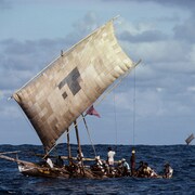 命懸けで巨大なマッコウクジラに立ち向かう、ドキュメンタリー「くじらびと」予告