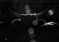 「彼女の名前はエウローペーだった」