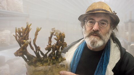 「素晴らしき、きのこの世界」新場面写真