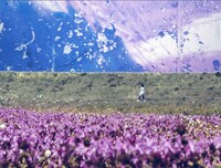 「ゾンからのメッセージ」