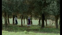 「オリーブの林をぬけて 」 (c)1994 Ciby 2000 - Abbas Kiarostami