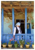 「そしてキアロスタミはつづく デジタル・リマスター版特集上映」フライヤー