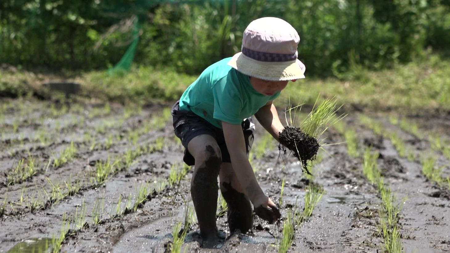 「屋根の上に吹く風は」