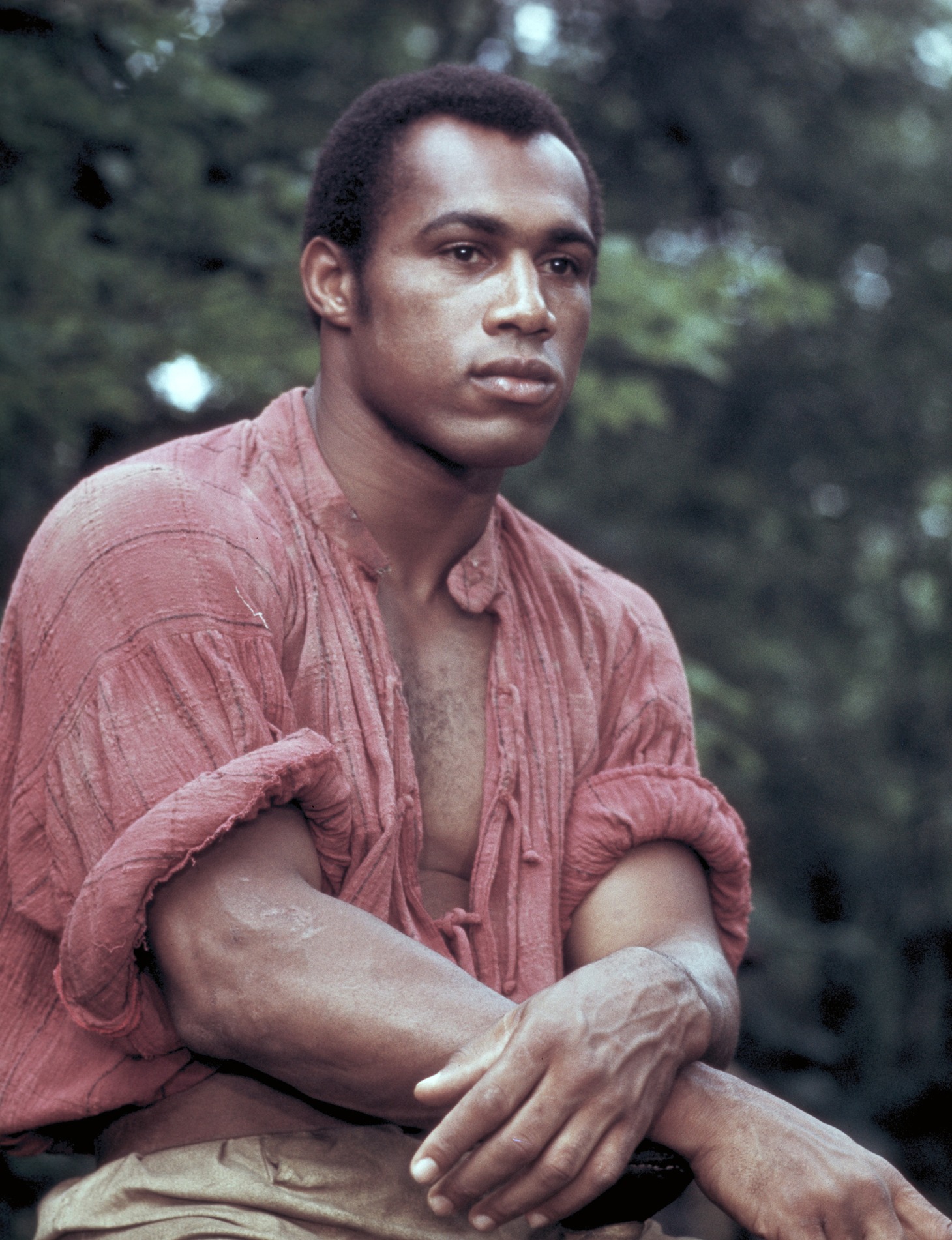 「マンディンゴ」