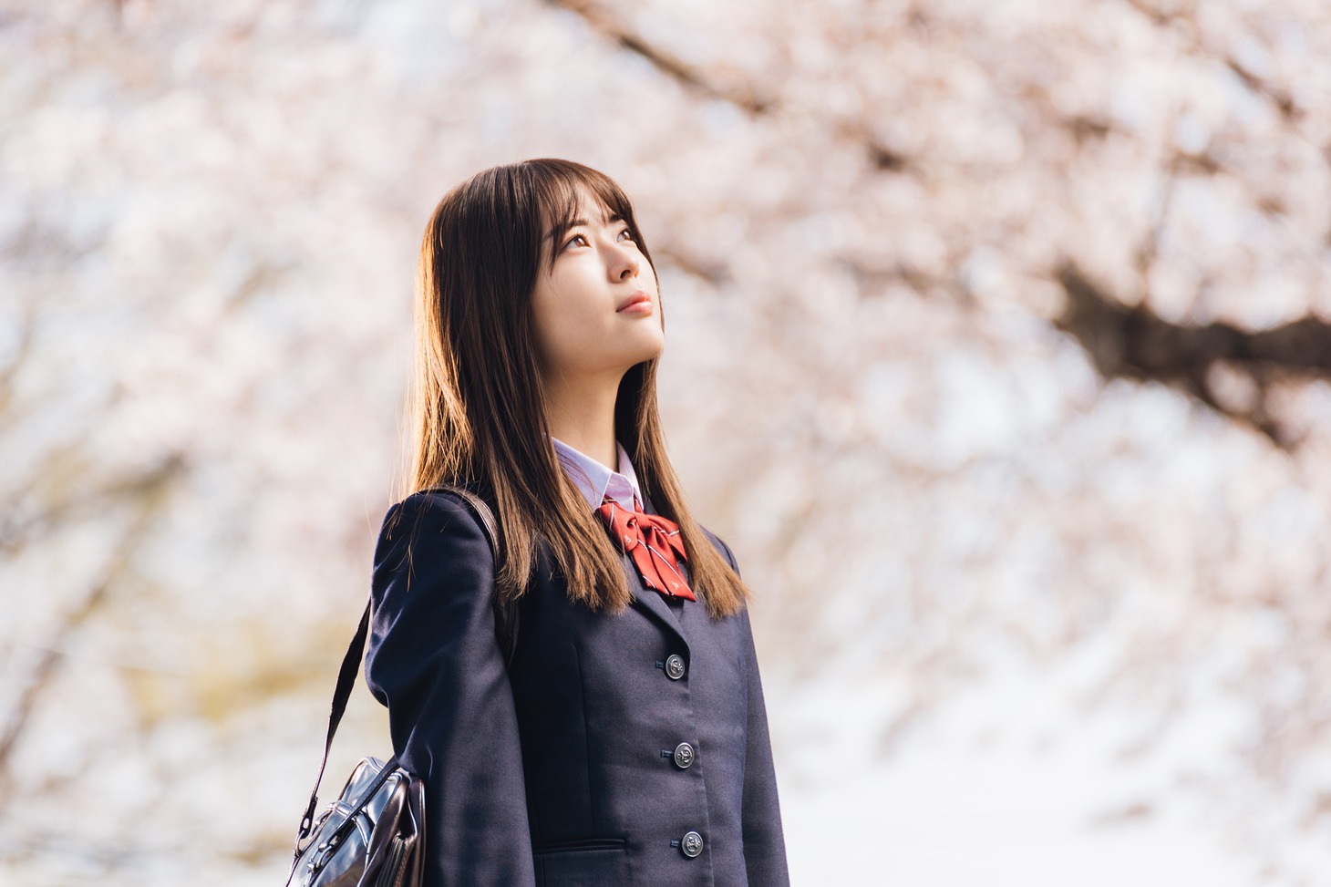 「世の中にたえて桜のなかりせば」