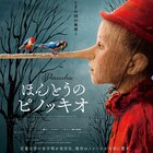 アカデミー賞2部門ノミネート、マッテオ・ガローネ監督「ほんとうのピノッキオ」公開