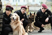 「オリバーな犬、（Gosh!!）このヤロウ」