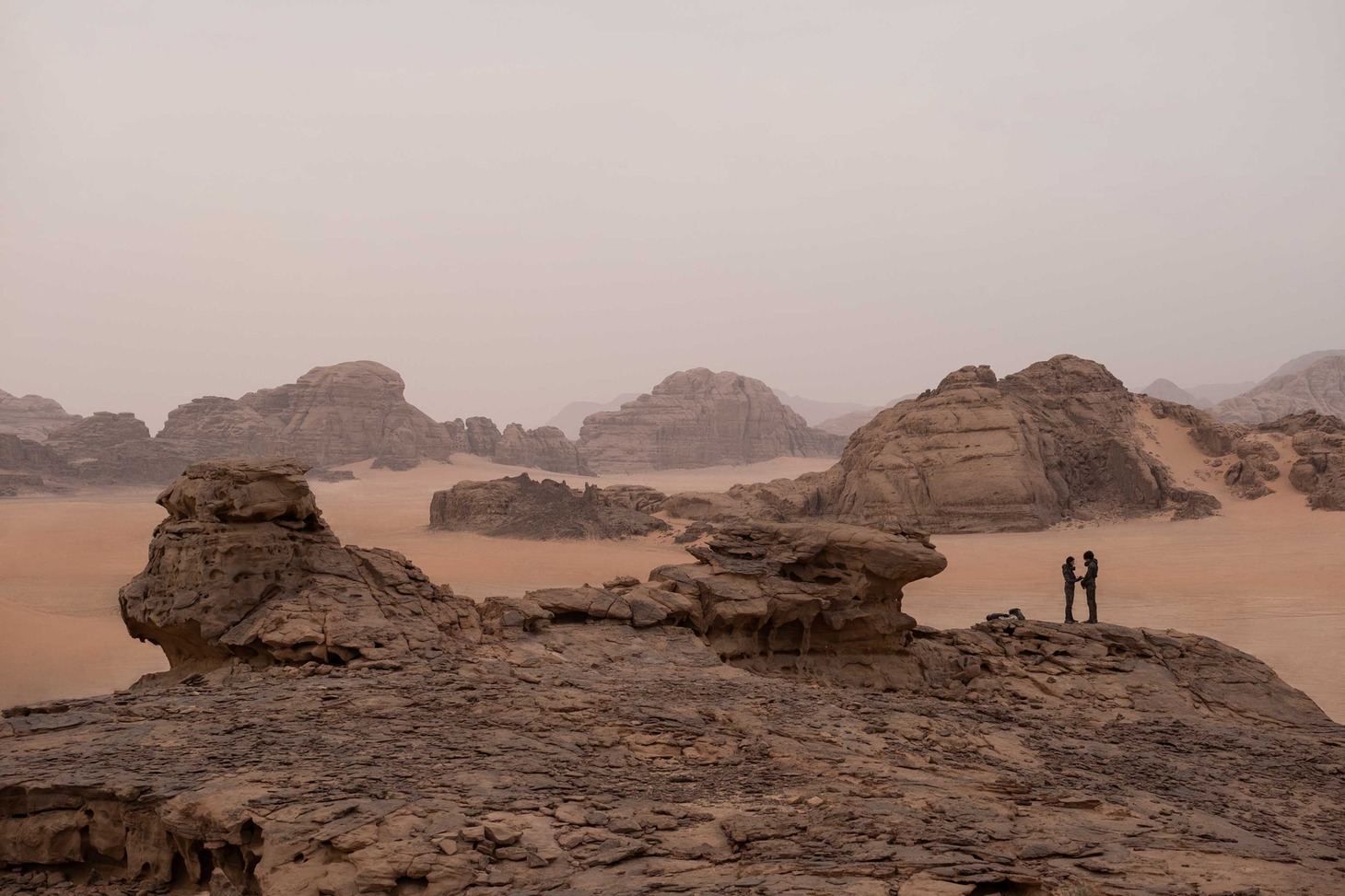 「DUNE/デューン 砂の惑星」