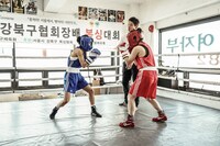 「ファイター、北からの挑戦者」