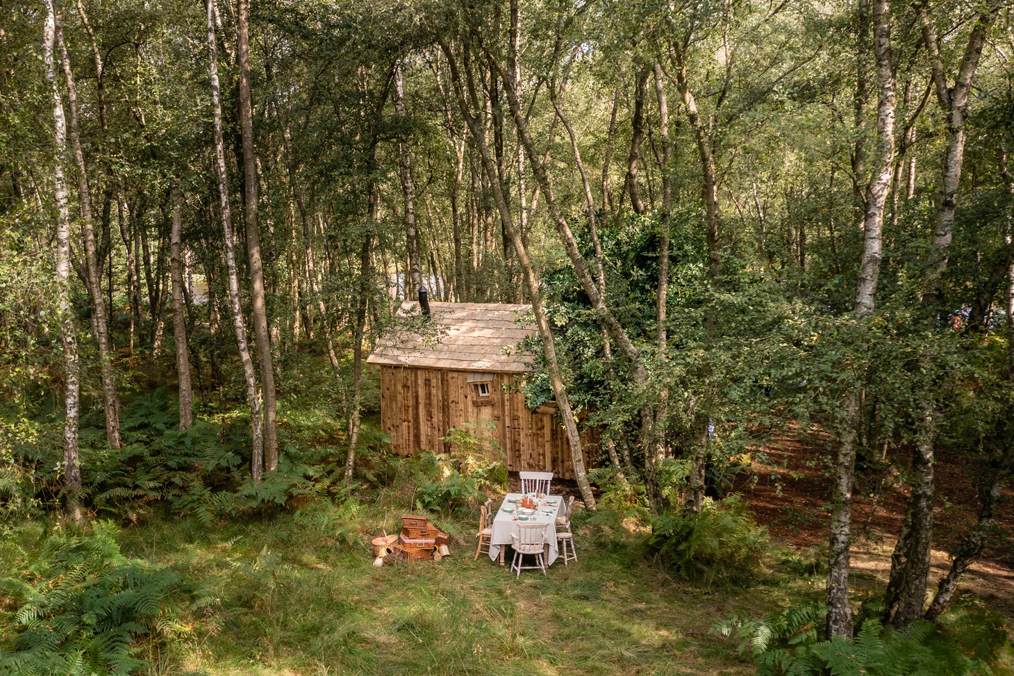 Bearbnb (c)Henry Woide