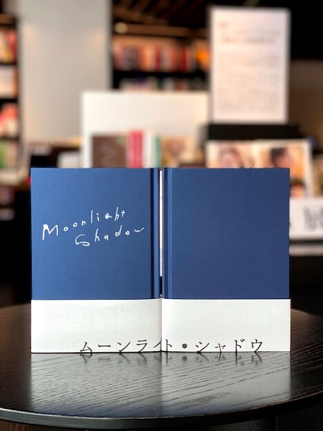 「ムーンライト・シャドウ」パンフレット