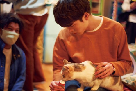 「ムーンライト・シャドウ」オフショット