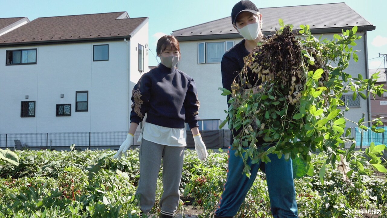有村架純と志尊淳が農家・児童相談所・ホストクラブを取材、「人と仕事」新写真