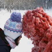 知床斜里に現れた“赤いやつ”が子供と相撲、吉開菜央の監督作「Shari」予告