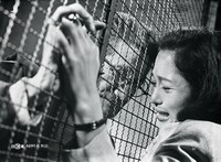 「帝銀事件 死刑囚」 (c)日活