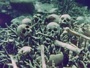 「世界残酷物語」