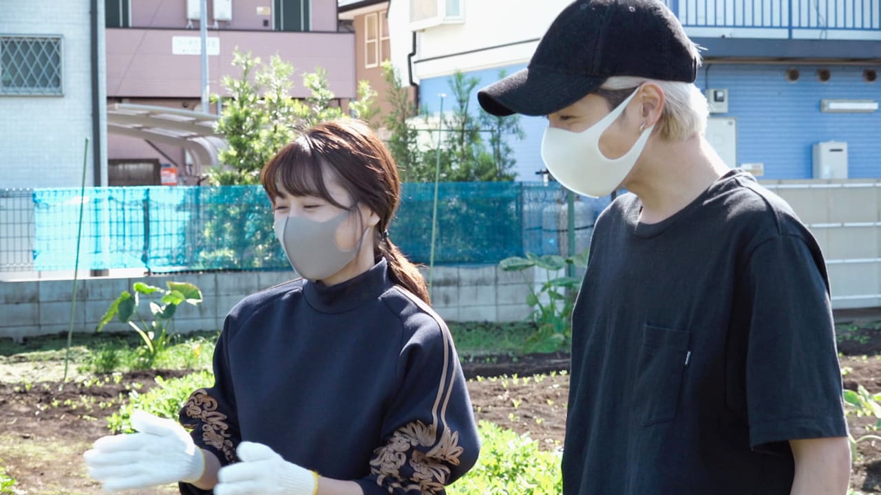 自分たちと似てるな、「人と仕事」有村架純、志尊淳が落花生の収穫を体験