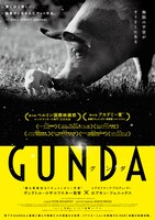 「GUNDA／グンダ」ビジュアル