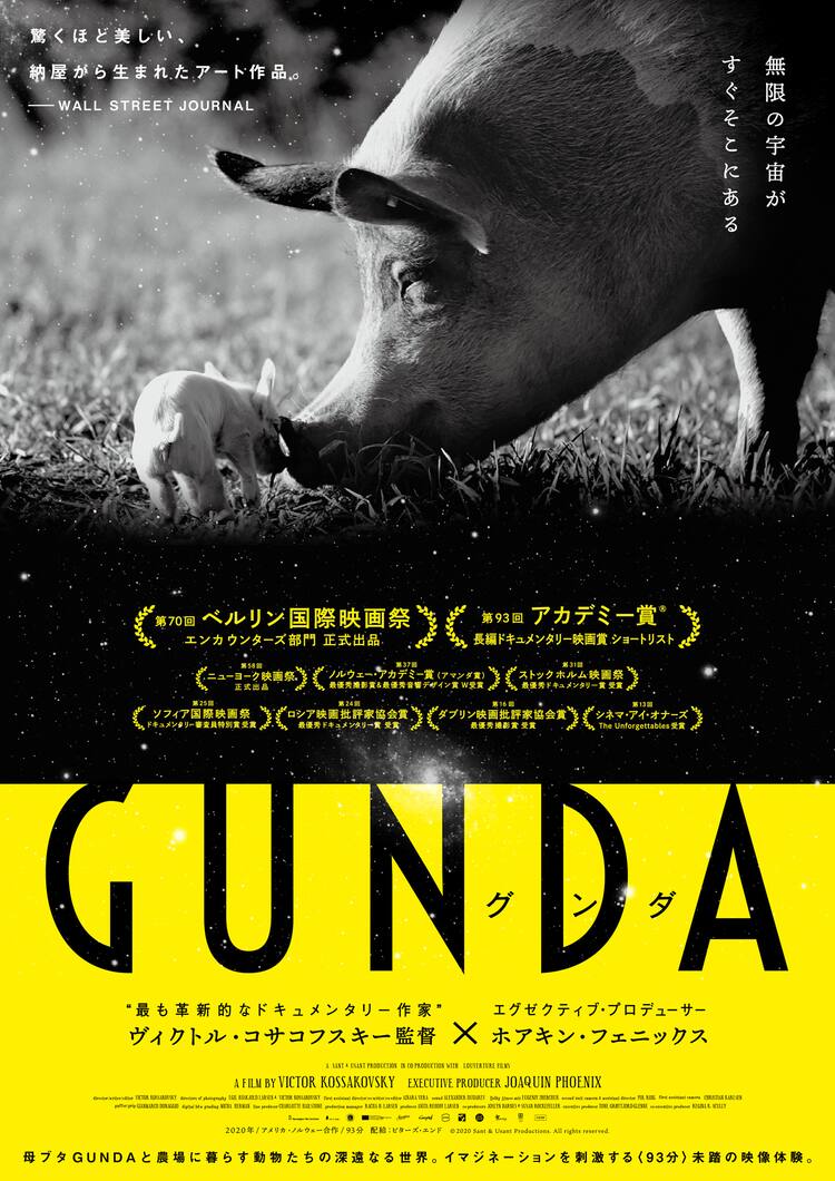 アリ アスターも絶賛 ドキュメンタリー Gunda の予告公開 映画ナタリー