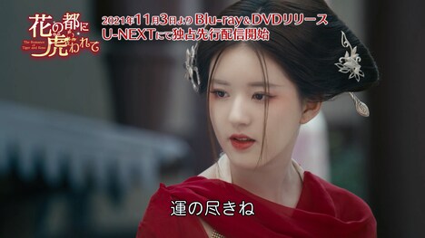 「花の都に虎（とら）われて～The Romance of Tiger and Rose～」