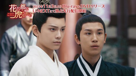 「花の都に虎（とら）われて～The Romance of Tiger and Rose～」