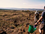 「#まなざしのかたち」