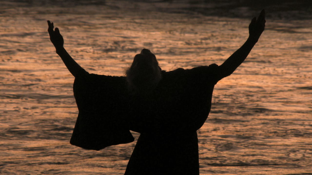 田中泯が街中で踊るドキュメンタリー予告、オダギリジョーや役所広司からコメント届く