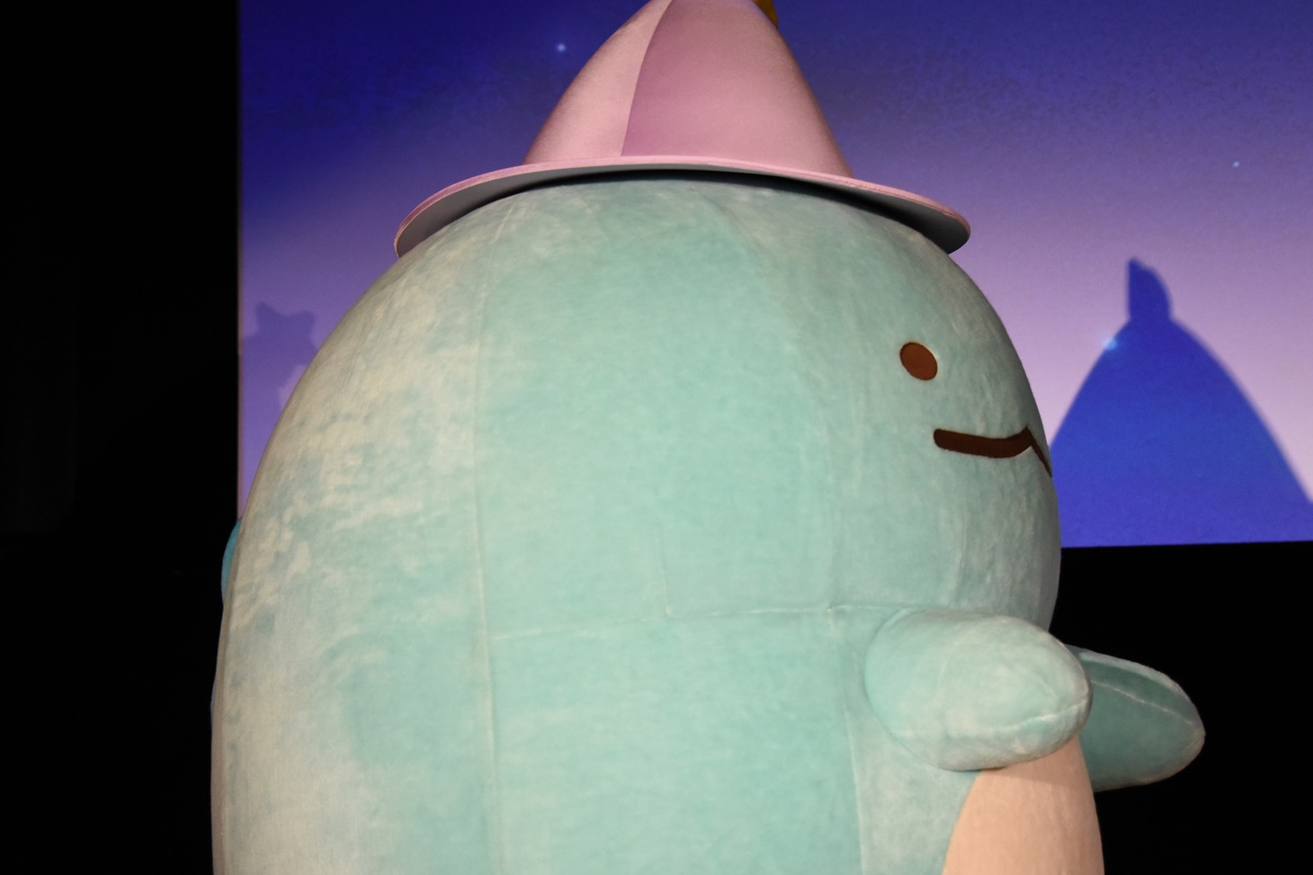 ゆっくりとステージに上がるとかげ。