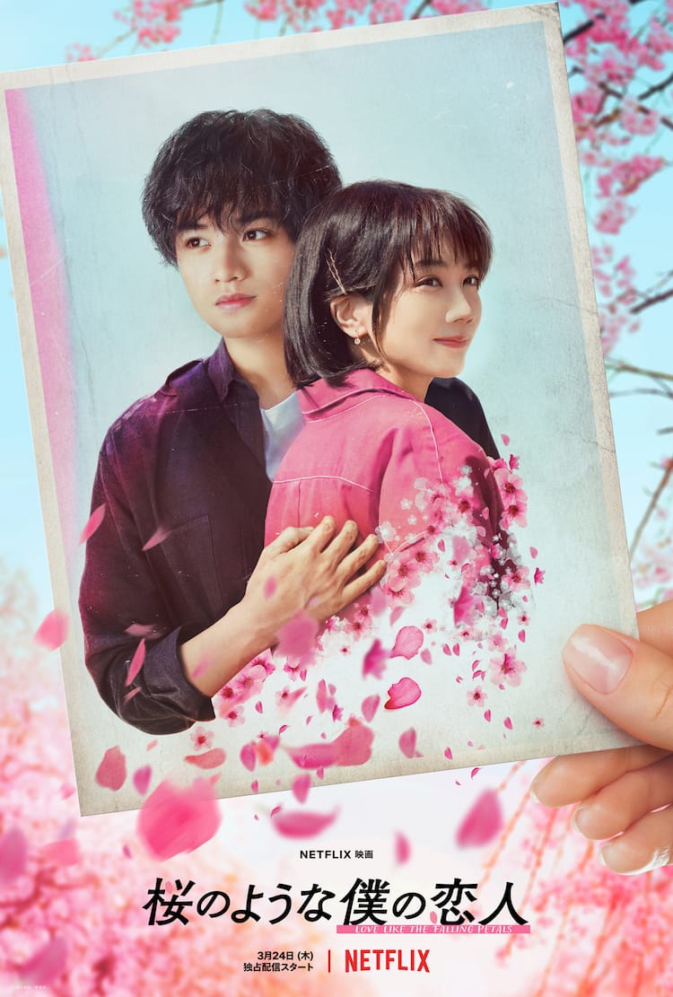 桜の よう な 僕 の 恋人