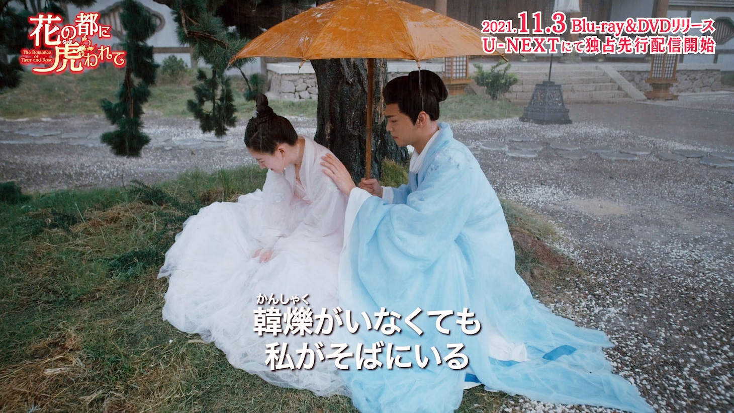 「花の都に虎（とら）われて～The Romance of Tiger and Rose～」