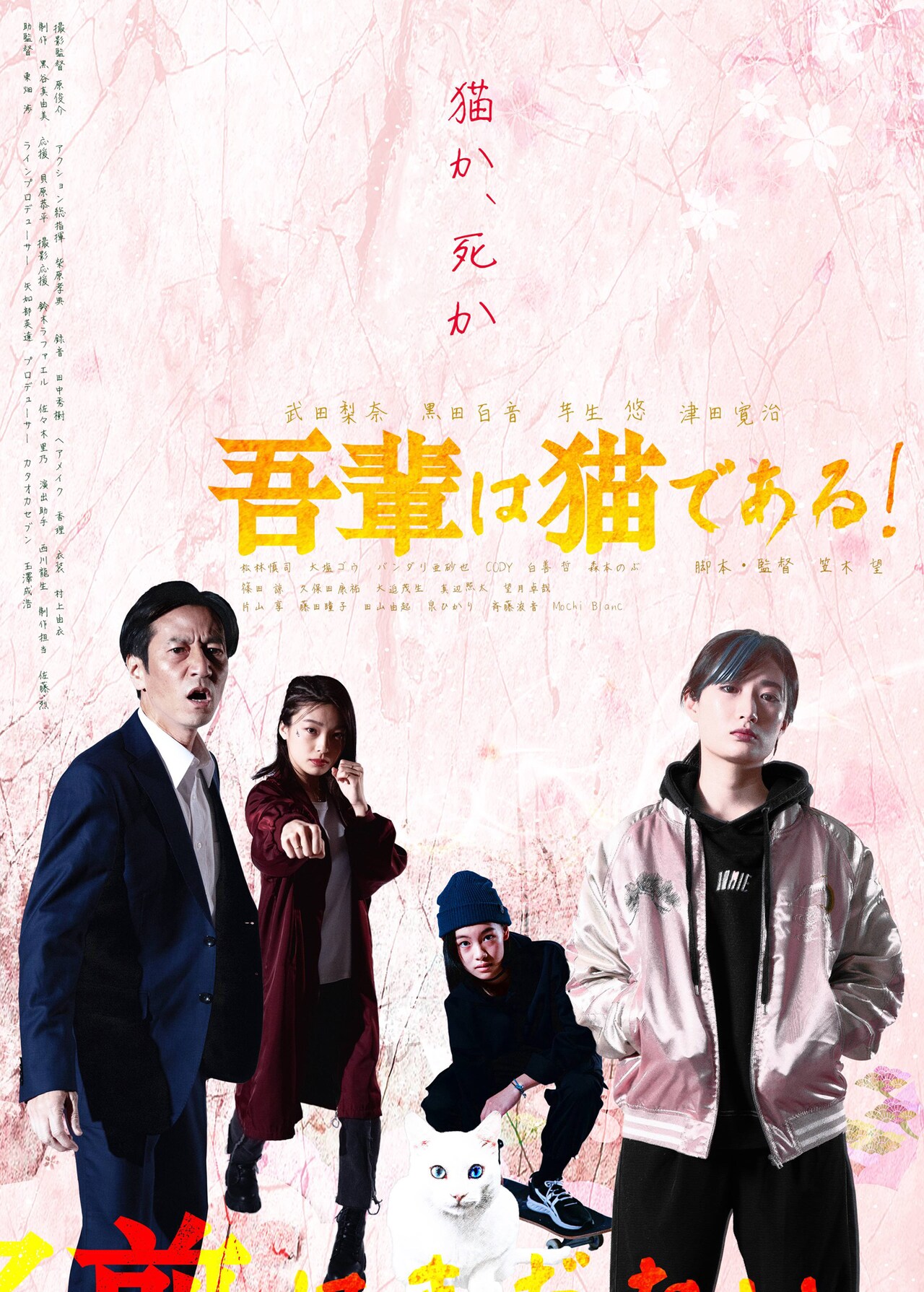 武田梨奈や芋生悠が共演、アクション満載のノワール「吾輩は猫である！」劇場公開