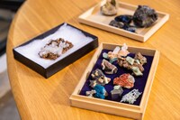 伊藤万理華が持参した鉱物コレクションの一部。