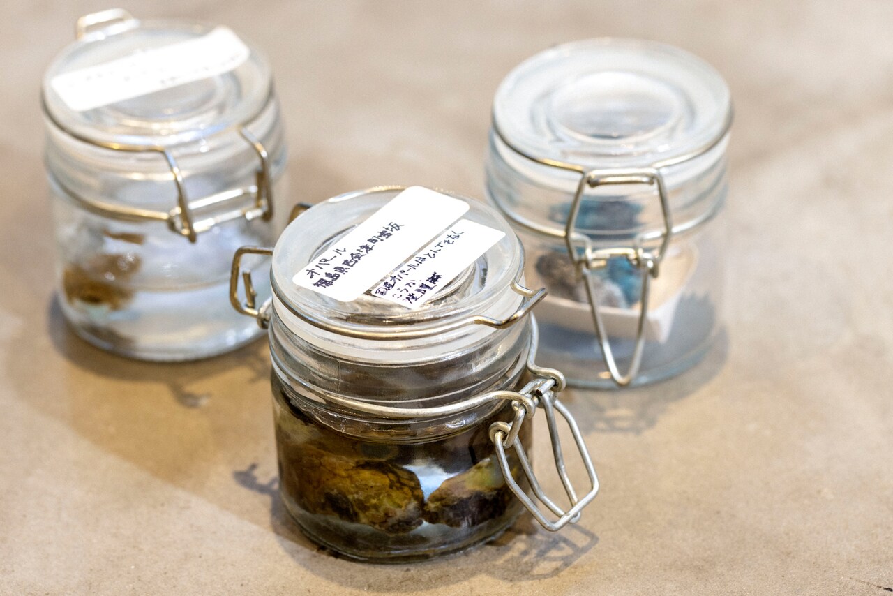 大童澄瞳の鉱物コレクションの一部。手書きラベルで標本のように管理している。