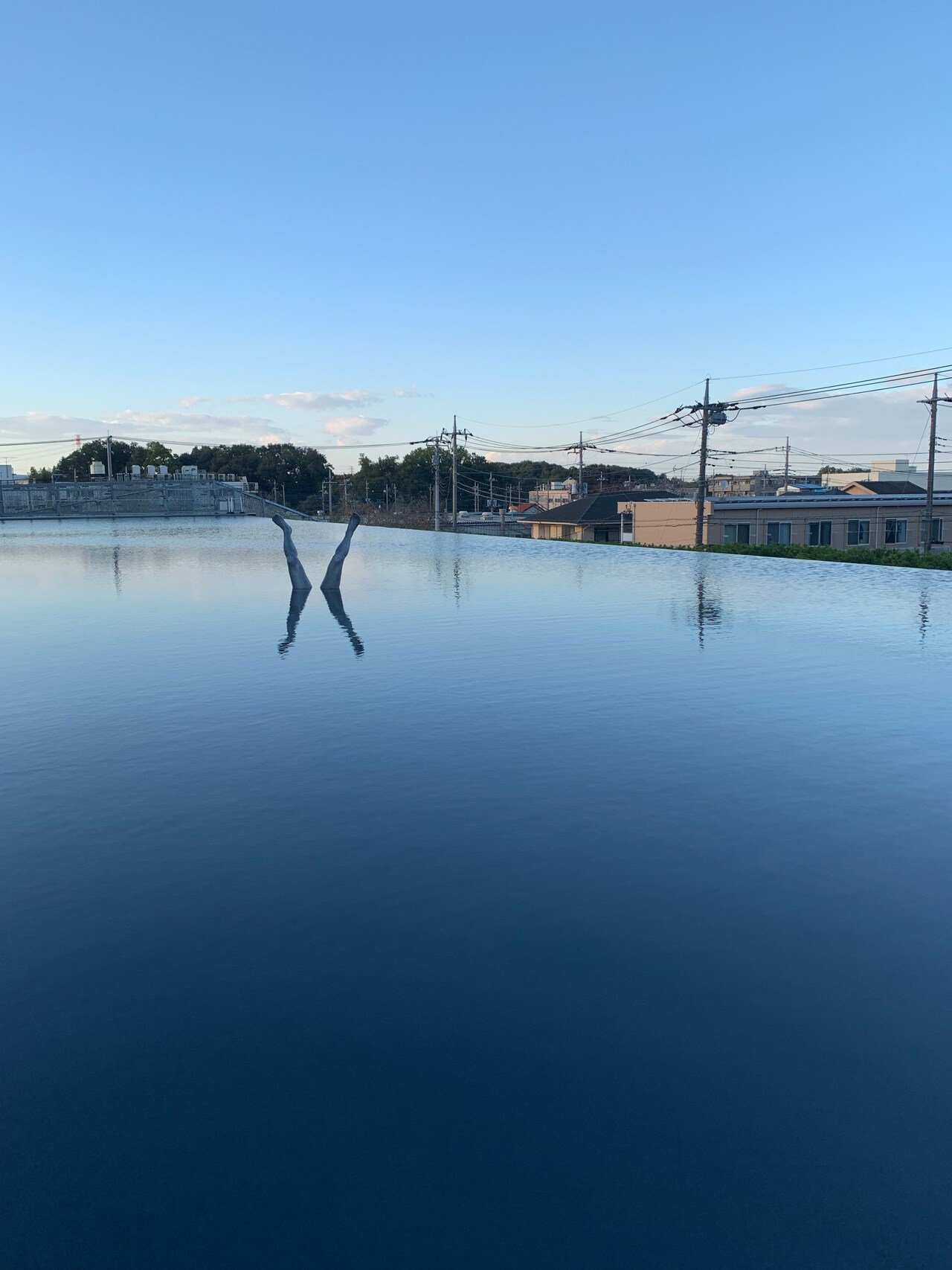 「犬神家の一族」あの“逆さ足”が映えスポット化、埼玉に期間限定で出現